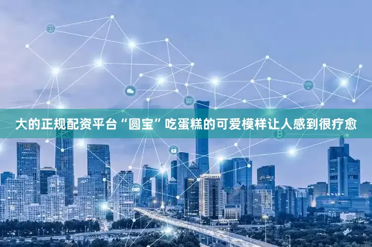 大的正规配资平台“圆宝”吃蛋糕的可爱模样让人感到很疗愈