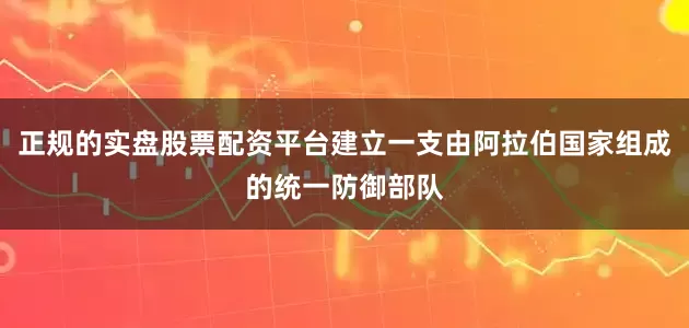 正规的实盘股票配资平台建立一支由阿拉伯国家组成的统一防御部队
